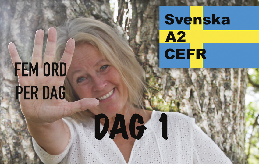 Lär Dig Svenska – Fem Ord Per Dag – Marie Rödemark